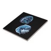 MoonJellyfish waterverf art Tegeltje (Zijkant)