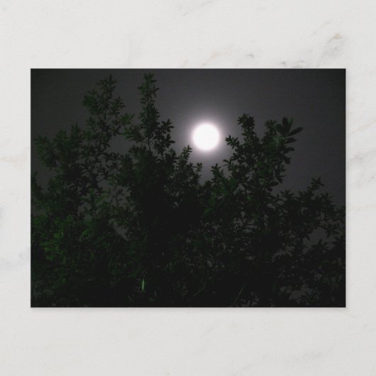 Moonlicht Briefkaart (Voorkant)
