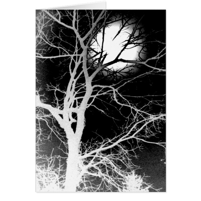 Moonlight (Voorkant)