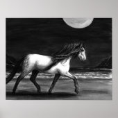 Moonlight Andalusion Poster (Voorkant)