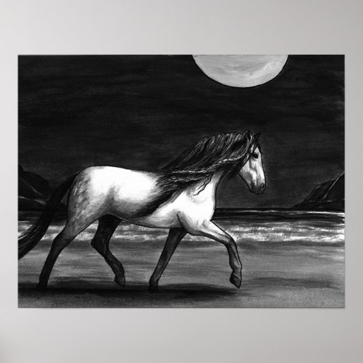 Moonlight Andalusion Poster (Voorkant)