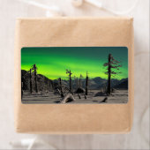 Moonlight Aurora Etiket (Insitu)