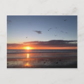 Moonlight Beach Sunset Briefkaart (Voorkant)