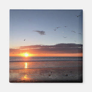 Moonlight Beach Sunset Magneet
