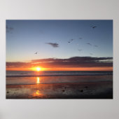 Moonlight Beach Sunset Poster (Voorkant)
