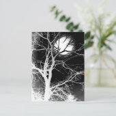 Moonlight Briefkaart (Staand voorkant)