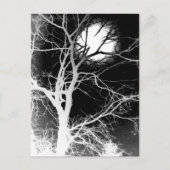 Moonlight Briefkaart (Voorkant)