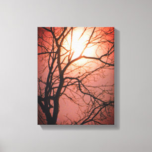 Moonlight Canvas Afdruk