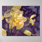 Moonlight Daffodils Waterverf Poster Afdrukken (Voorkant)