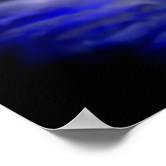 Moonlight Dolphin Poster (Hoek)