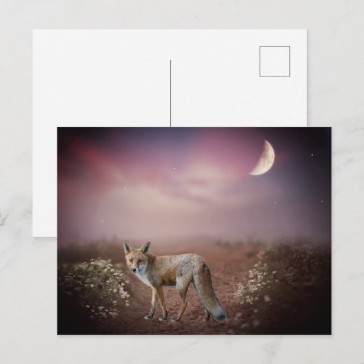 Moonlight Dream Fox Scene Briefkaart (Voorkant / Achterkant)
