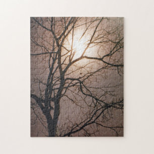 Moonlight Dream Legpuzzel