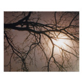 Moonlight Dream Poster (Voorkant)