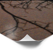 Moonlight Dream Poster (Hoek)