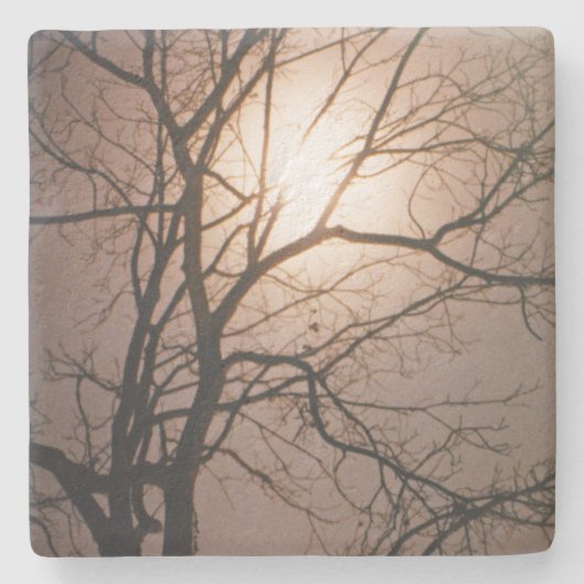 Moonlight Dream Stenen Onderzetter (Voorkant)