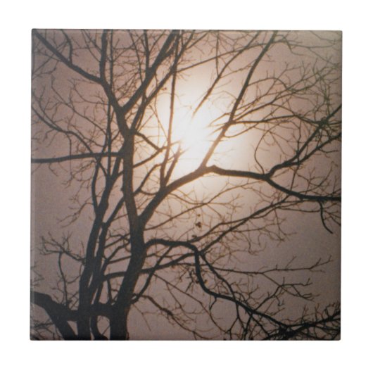 Moonlight Dream Tegeltje (Voorkant)