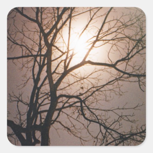 Moonlight Dream Vierkante Sticker (Voorkant)