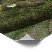 Moonlight Fairy Print (Hoek)