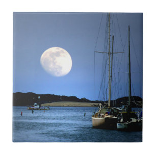 Moonlight Harbour Art Tile Tegeltje