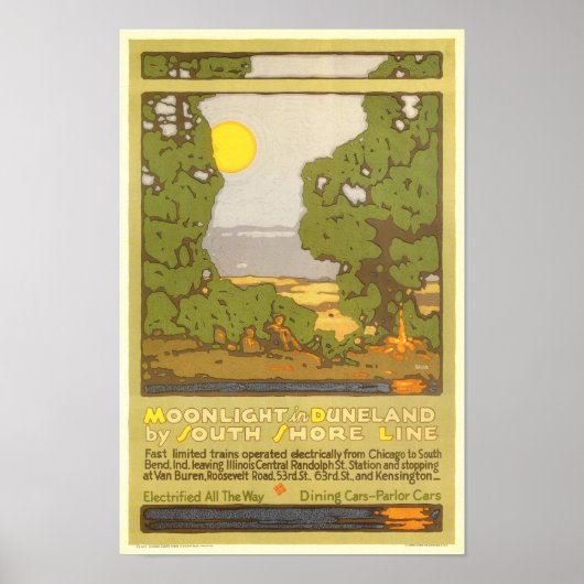 Moonlight in Duneland Poster (Voorkant)