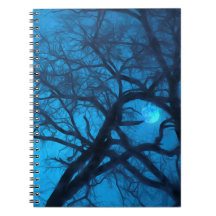 Moonlight Journal (80 pagina's B&W)