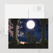 Moonlight-Kat Briefkaart (Voorkant / Achterkant)