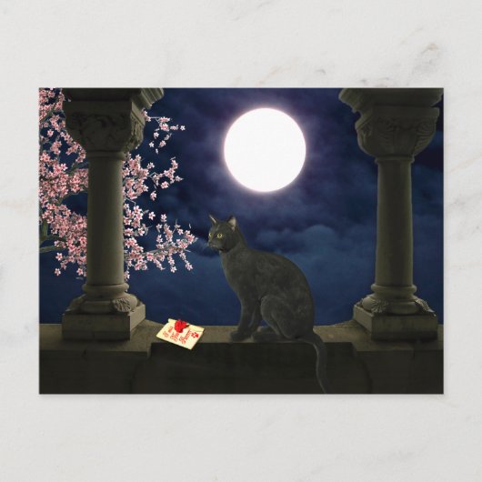 Moonlight-Kat Briefkaart (Voorkant)