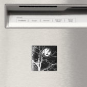Moonlight Magneet (Insitu (Vaatwasser))