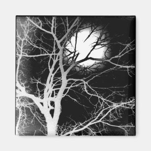 Moonlight Magneet
