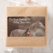 Moonlight Night Dream Paard Lady Bookplaten Labels (Insitu)