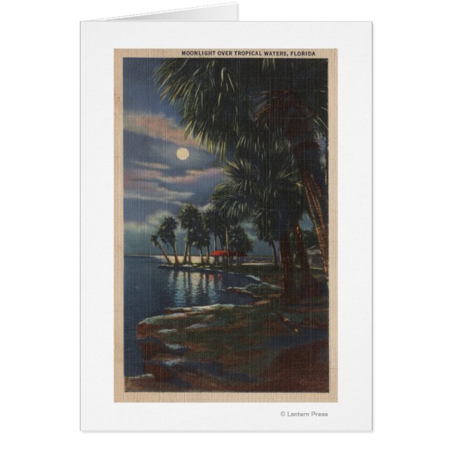 Moonlight op een Florida BeachFlorida (Voorkant)