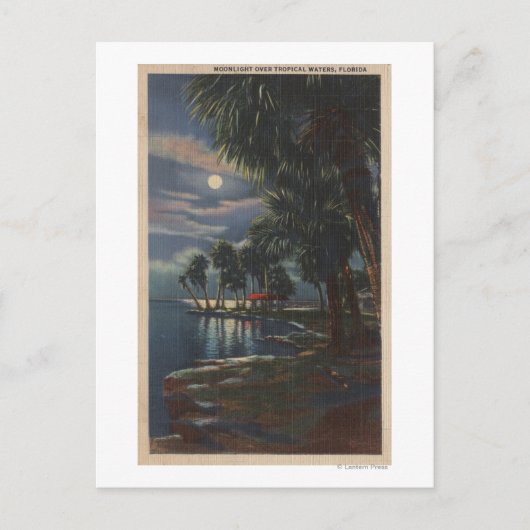 Moonlight op een Florida BeachFlorida Briefkaart (Voorkant)