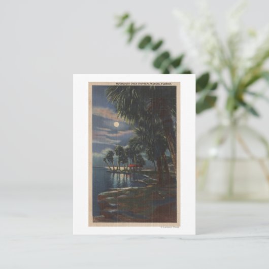 Moonlight op een Florida BeachFlorida Briefkaart (Staand voorkant)