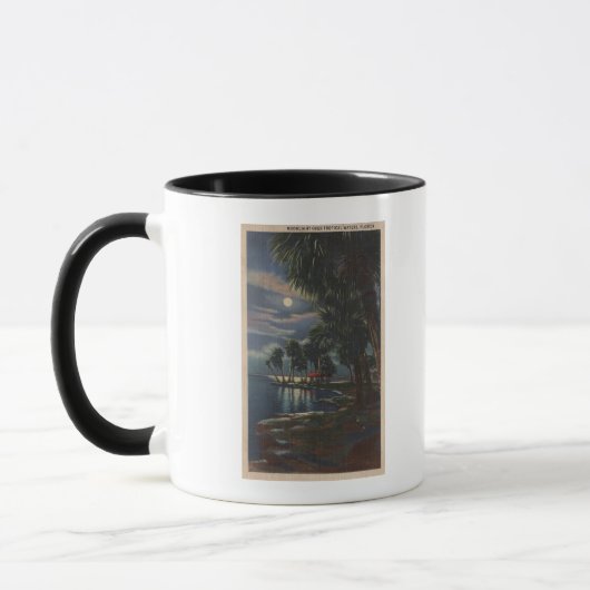 Moonlight op een Florida BeachFlorida Mok (Links)