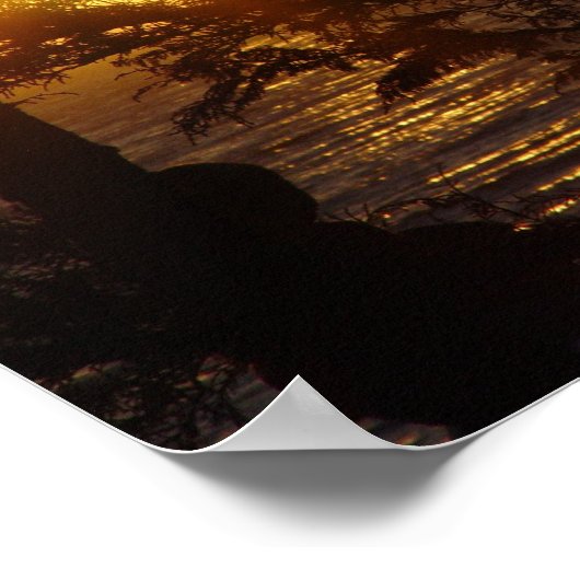 Moonlight op Moonstone Beach Poster (Hoek)