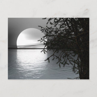 Moonlight over het water briefkaart