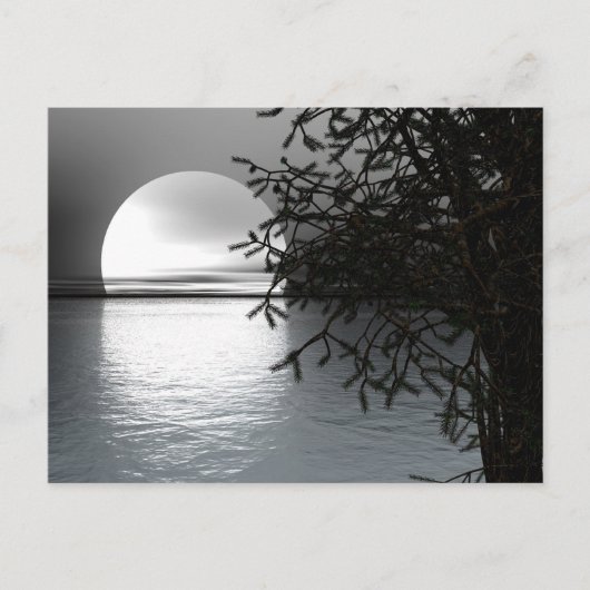 Moonlight over het water briefkaart (Voorkant)