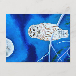 Moonlight Owl Briefkaart