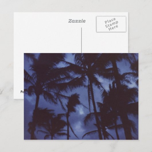 Moonlight PalmTrees Briefkaart (Voorkant / Achterkant)