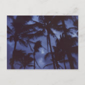 Moonlight PalmTrees Briefkaart (Voorkant)