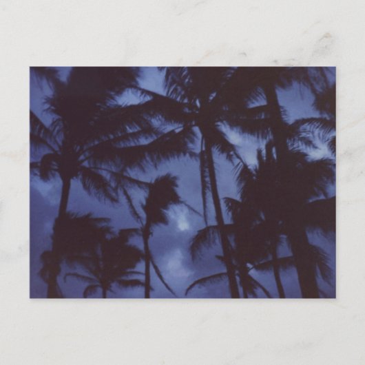 Moonlight PalmTrees Briefkaart (Voorkant)