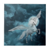 Moonlight pegasus tegeltje (Voorkant)