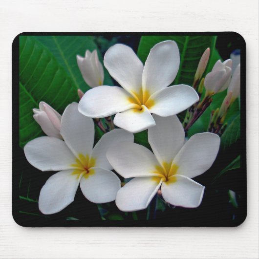 Moonlight Plumeria Mousepad Muismat (Voorkant)
