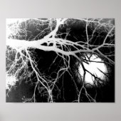 Moonlight Poster (Voorkant)