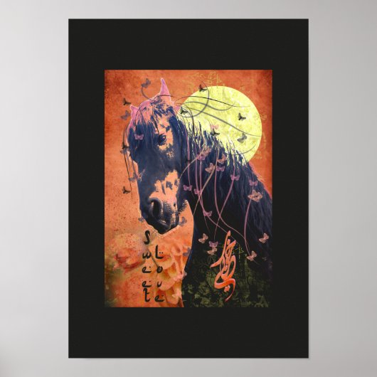 Moonlight - Poster (Voorkant)