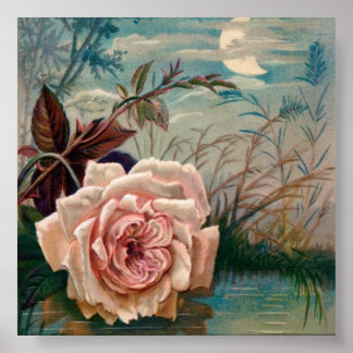 Moonlight Roos Serenade Poster