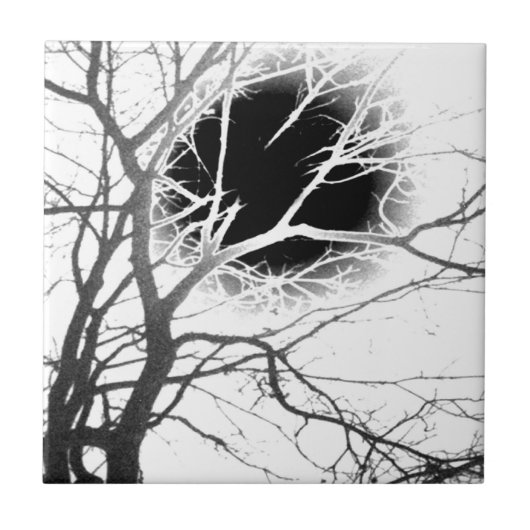 Moonlight Silhouette Tegeltje (Voorkant)