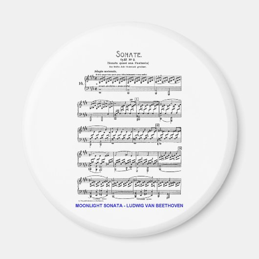 Moonlight-Sonata-Ludwig-Beethoven Magneet (Voorkant)