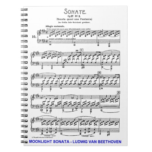 Moonlight-Sonata-Ludwig-Beethoven Notitieboek (Voorkant)