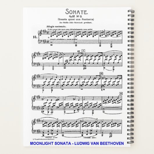 Moonlight-Sonata-Ludwig-Beethoven Planner (Achterkant)
